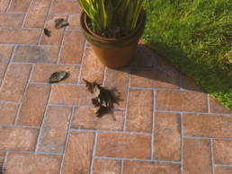 CHICAGO_22_G | Pan American Ceramics