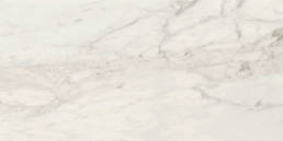 Carrara 2.0 Calacatta Renoire 12X24 Natural | Pan American Ceramics