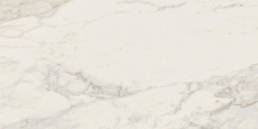 Carrara 2.0 Calacatta Renoire 12X24 Natural | Pan American Ceramics
