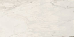 Carrara 2.0 Calacatta Renoire 12X24 Polished | Pan American Ceramics
