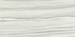 Carrara 2.0 Zebrino 12X24 Polished | Pan American Ceramics