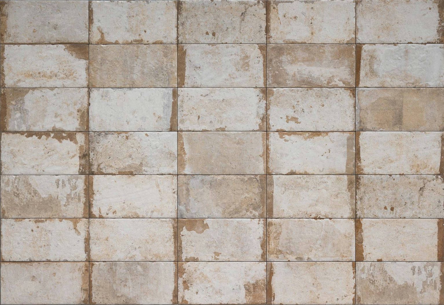 小物 BLANC..B0038 C.HAVANA / M.GRY B0038 C.HAVANA / M.GRY – BLANC..ONLINE STORE