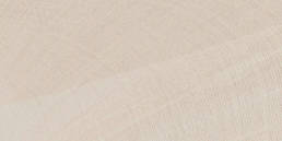 Texture Avorio 12X24 Matte Rectified | Pan American Ceramics