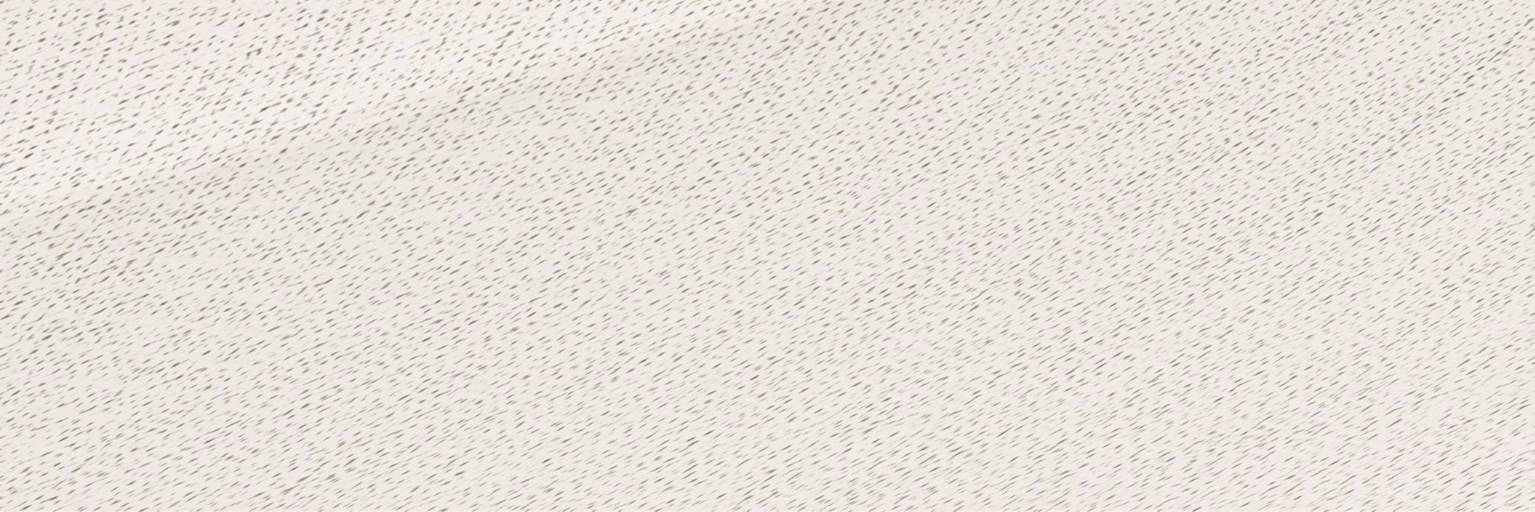 Texture Bianco 4X12 Matte Rectified | Pan American Ceramics