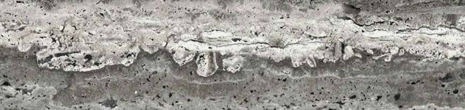 Tipos Ocean 3X12 Matte | Pan American Ceramics