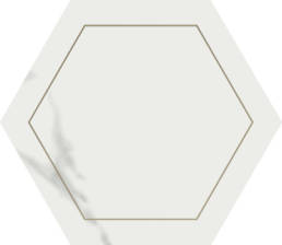 Concert White hexagon deco gold7x6 | Pan American Ceramics